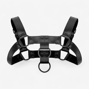 Bedroom Fantasies Bruno Bondage Harness Black