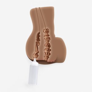 Zero Tolerance Rear Beauty Realistic Dark Brown