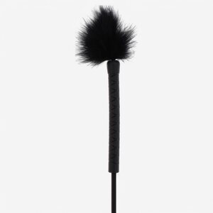 Hidden Desire Extreme Crop Whip & Feather Tickler