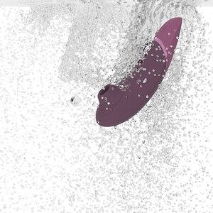 Womanizer Next Clitoral Stimulator