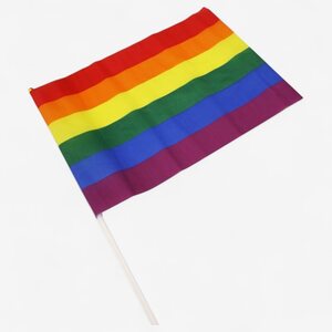 Pride Flag 30 cm x 19.5 cm