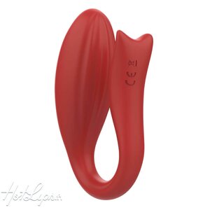 Dream Toys Pandora Pariskuntavibraattori