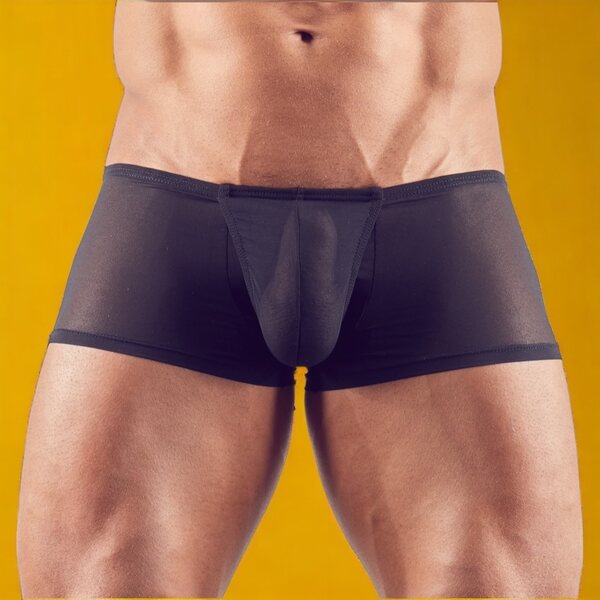 Svenjoyment Transparent Push Up Boxers