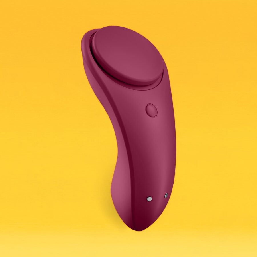 Satisfyer Sexy Secret Panty Vibrator